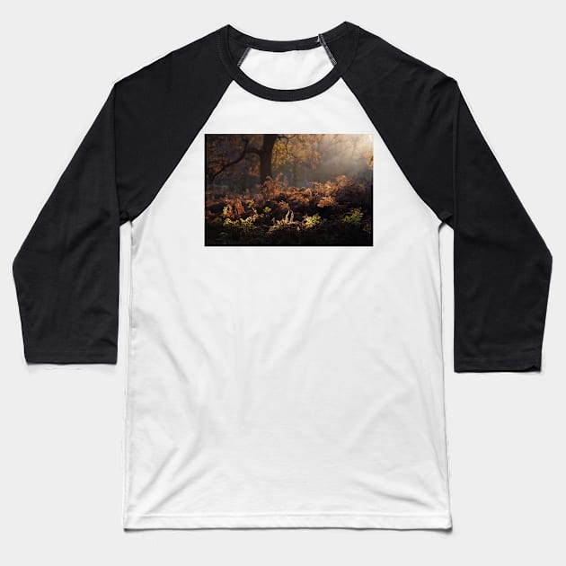 Bracken Lit by Morning Light, Richmond Park Baseball T-Shirt by GrahamPrentice